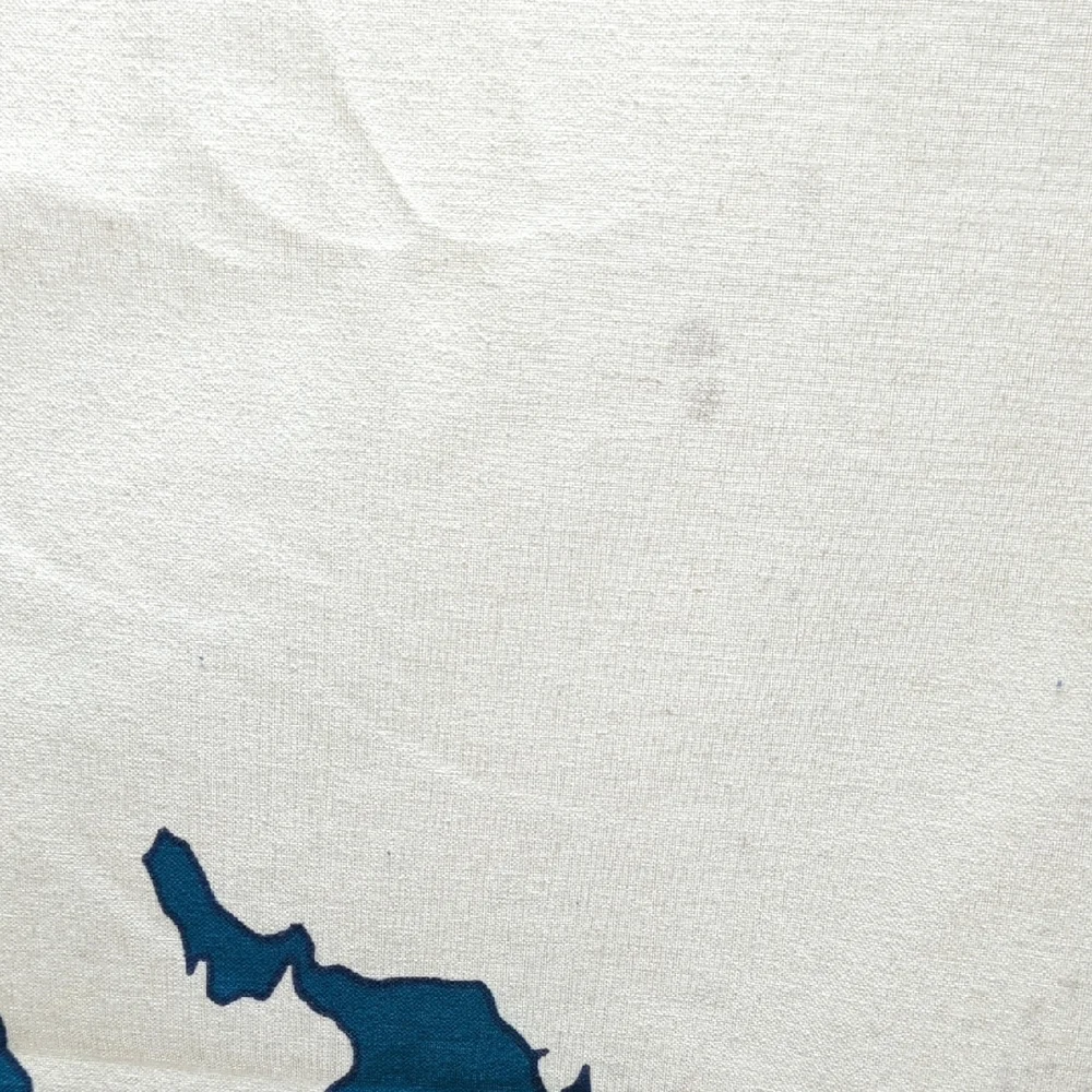 World Map Tapestry/Shower Curtain in Teal and White